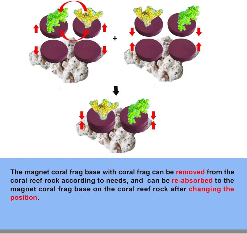 Saricho Coral Frag Magnetic Base and Plugs - Waterproof, Purple, Round 10-Piece Set - Image 5